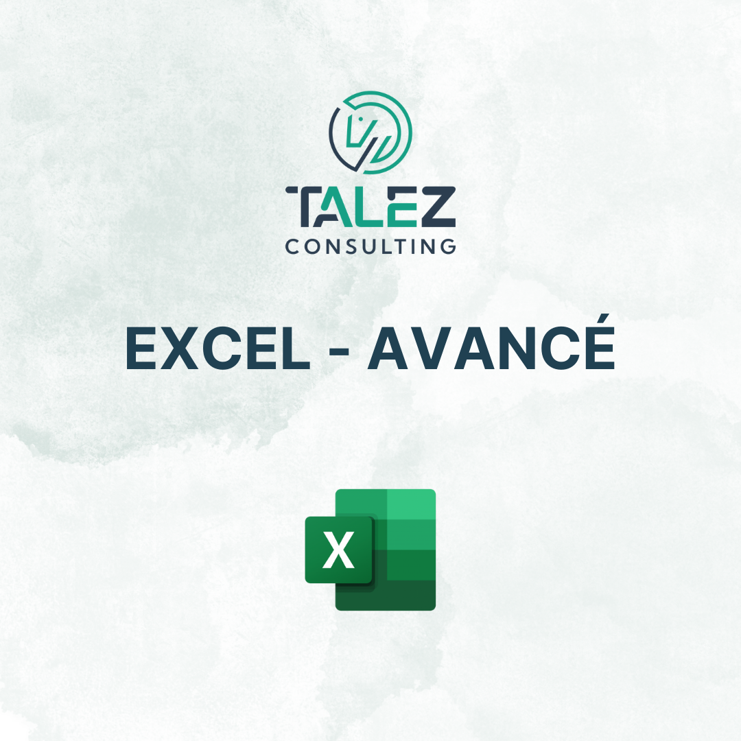 Formation bureautique Excel avancé par Talez Consulting